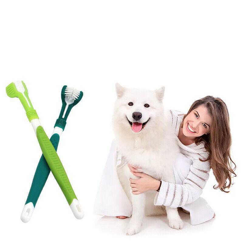 Three Sided Dog Toothbrush